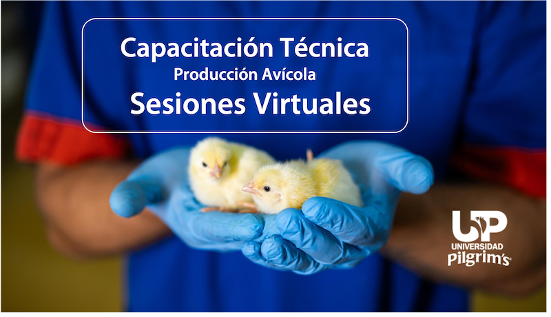 Capacitacion Tecnica
