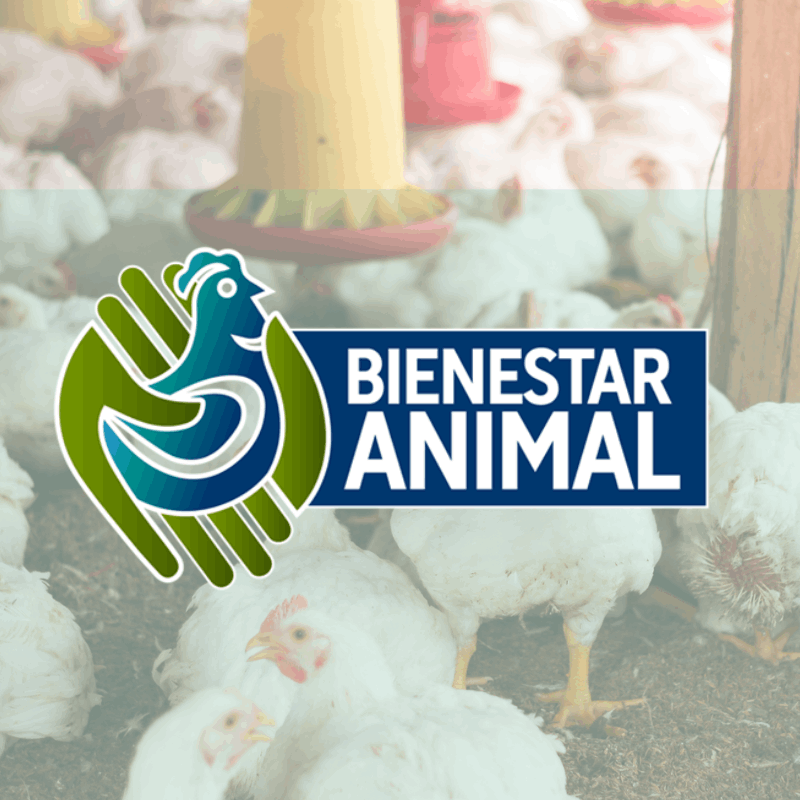 Curso sello Bienestar