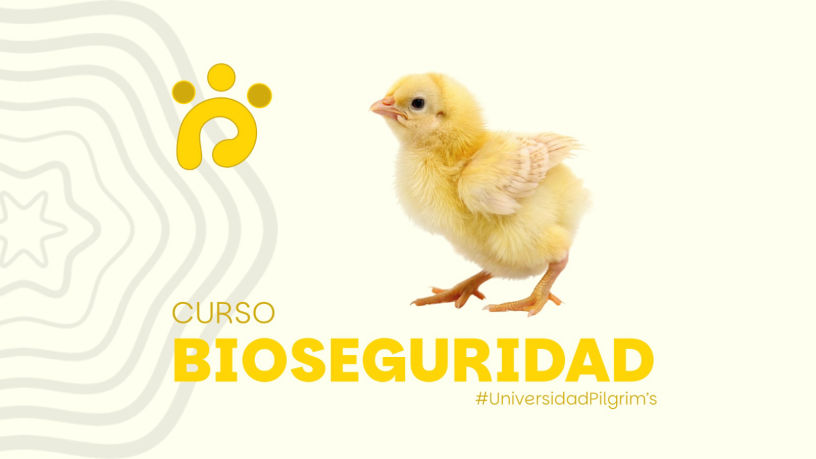 Codigo de Bioseguridad