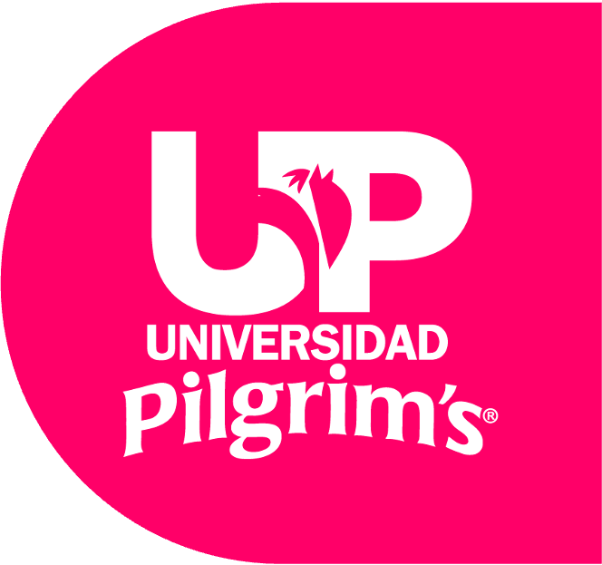 logo Up