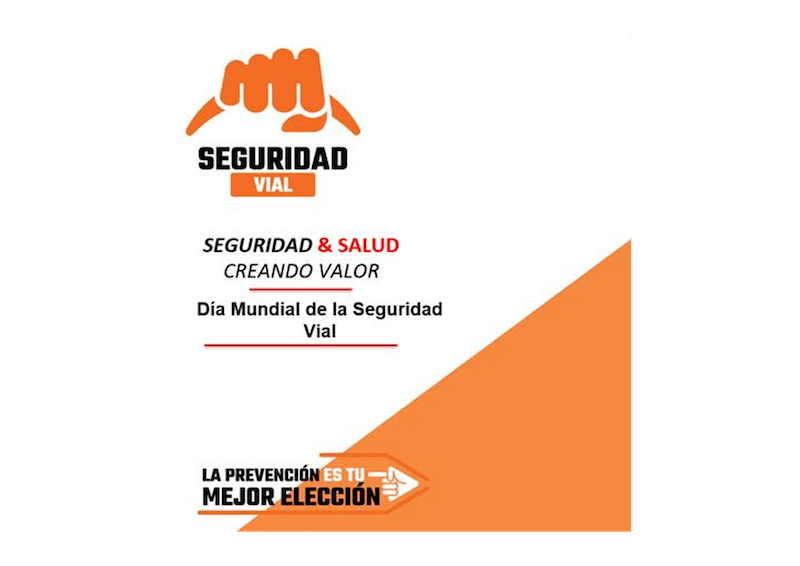 Webinar Seguridad Vial